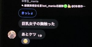 中学生 mania12.jpeg