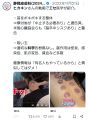 2026年4月18日 (土) 07:54時点における版のサムネイル