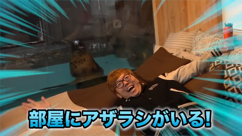 ファイル:ノースサファリサッポロ アザラシ.png