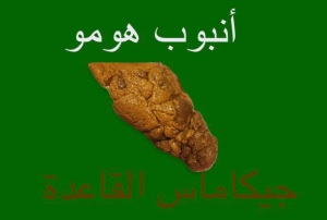 Flag of Hikamers Al-Qaeda.png