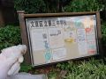 2026年4月15日 (水) 16:01時点における版のサムネイル