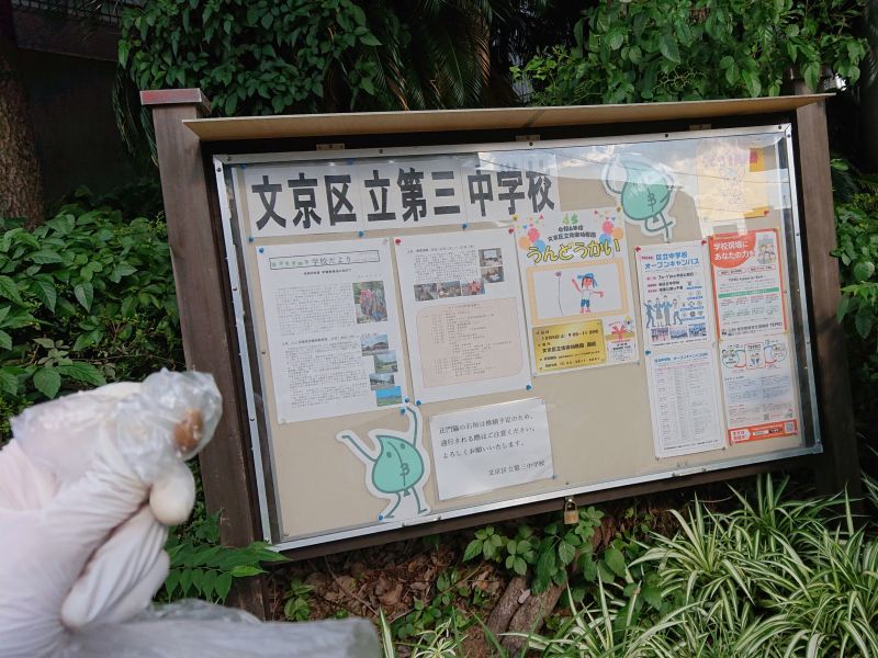 ファイル:文京区立第三中学校.jpg